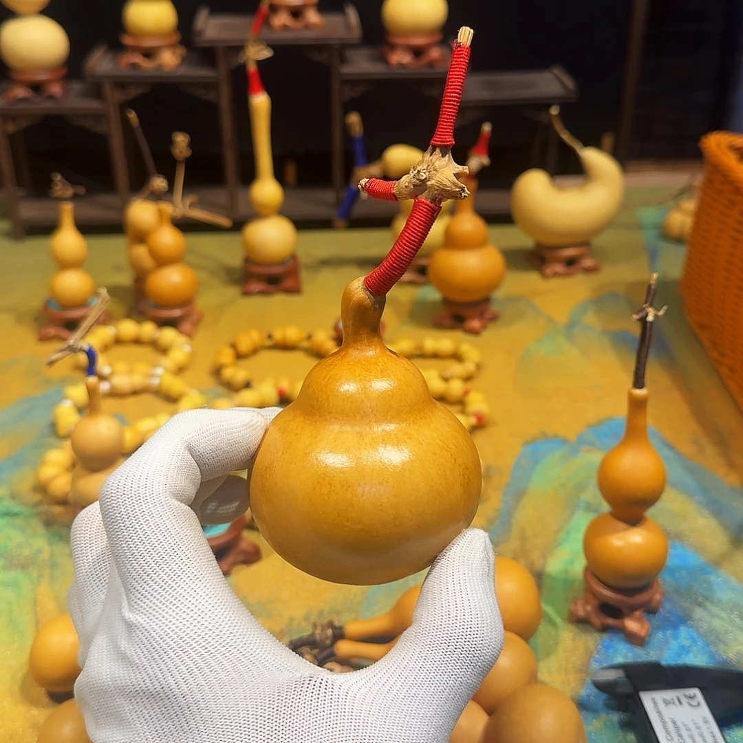 茉***娜手把天坛蹲一把抓