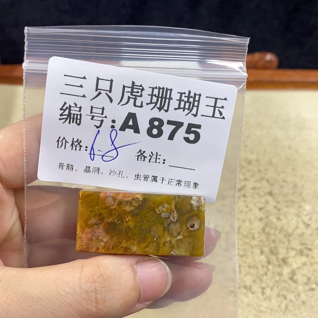 硅化珊瑚（珊瑚玉）1未镶嵌文****y