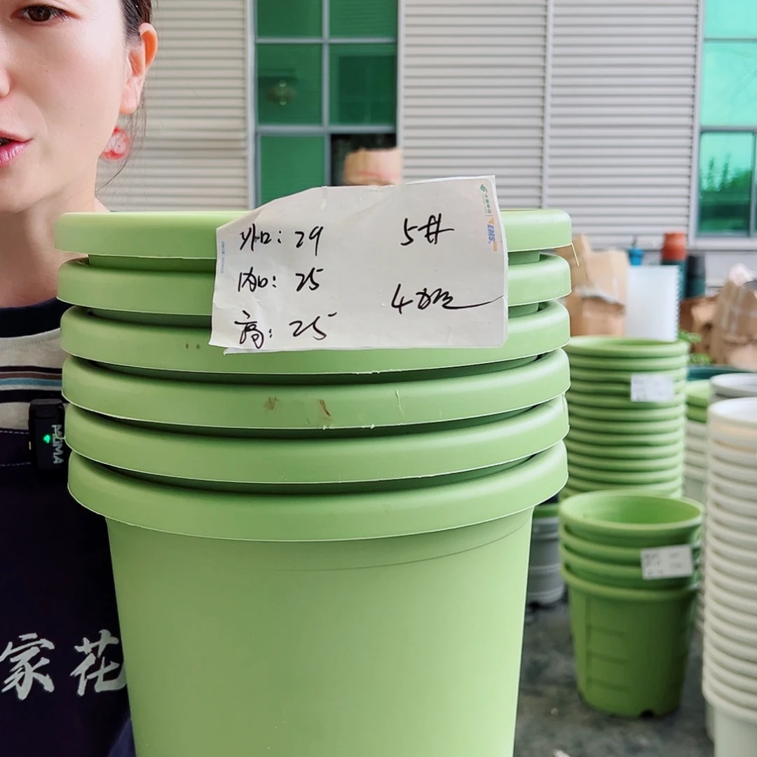 四季盆5#果绿6个无托
