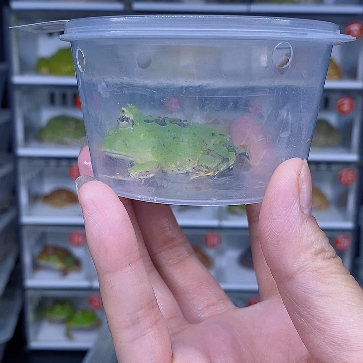 特价秒杀现货特价残
