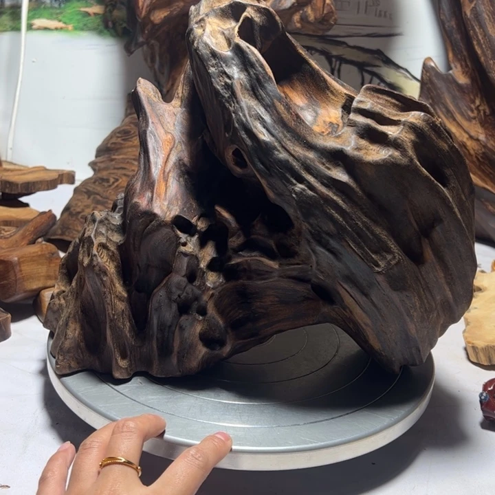 小***豆木一物一拍350摆件