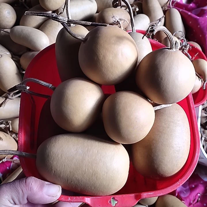 楠***记天然葫芦6个东瓜葫芦4个苹果葫芦