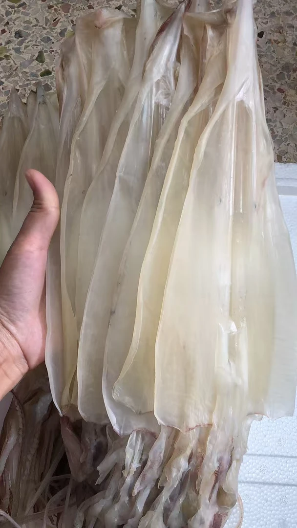 汕头海门港特产 九尼脯 一斤3个 送礼佳品 顺丰冷链包邮