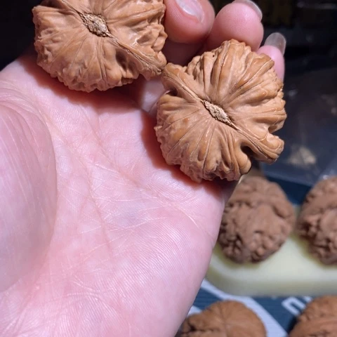 柳***阔吊坠文玩核桃白狮子差尺，不退不换