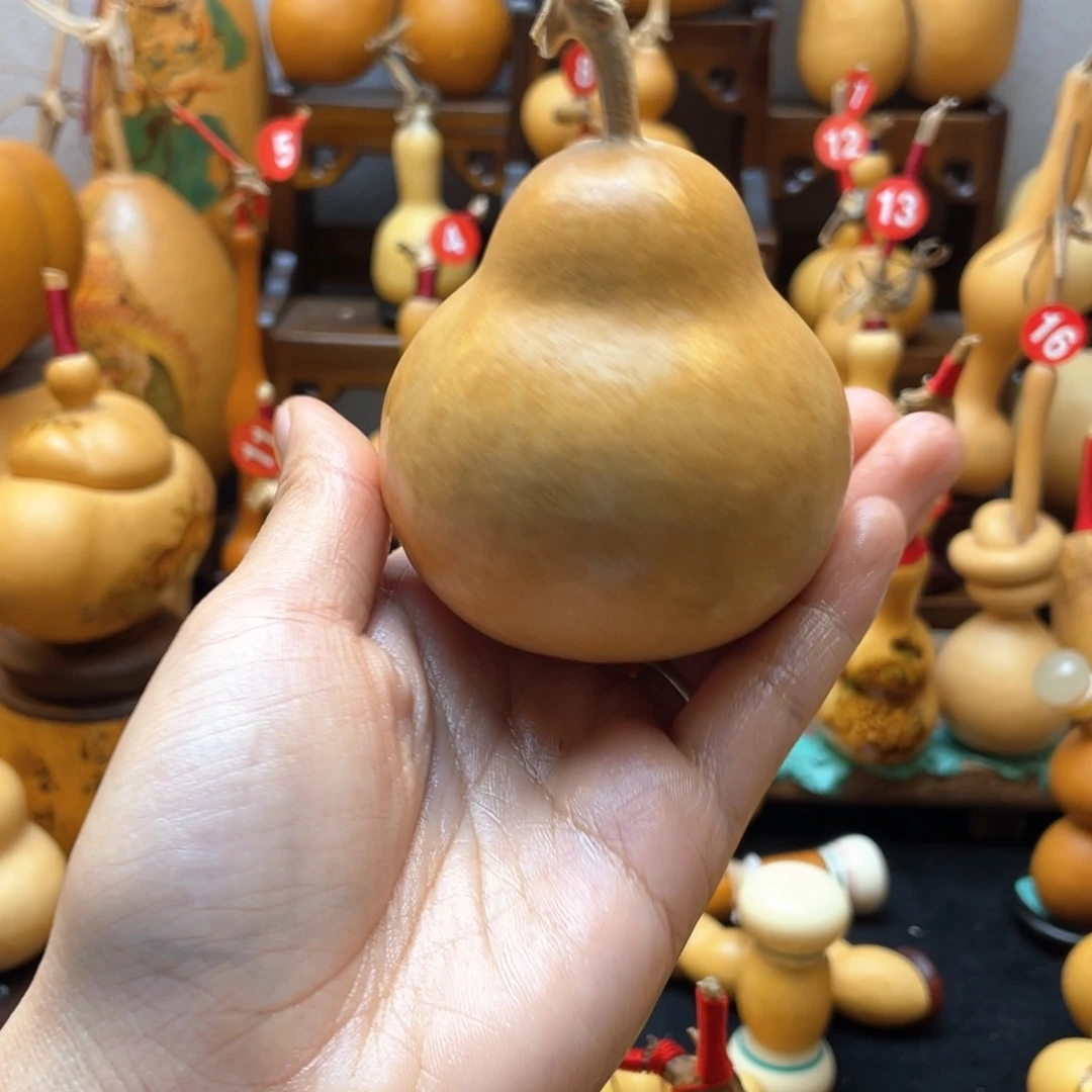 兜*大自然的秘密第十一章你是谁