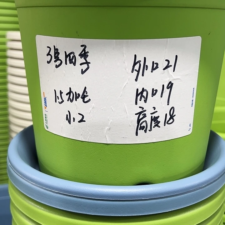 特价3号口21高18果绿6只带托