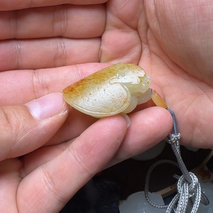 和田玉未镶嵌颈饰C***a