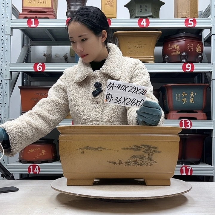 紫砂花盆紫砂花盆