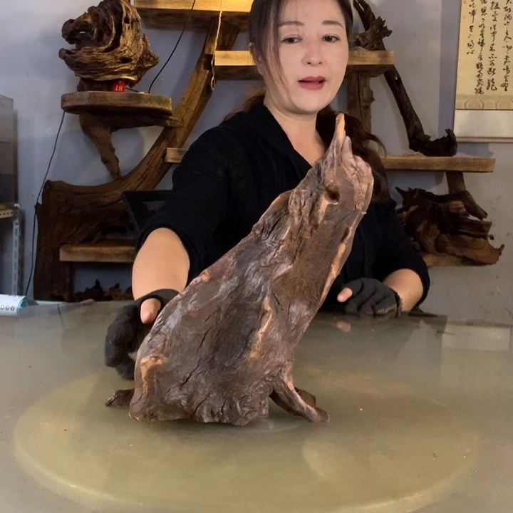 多***肉天然的云南紫柚木会黄水