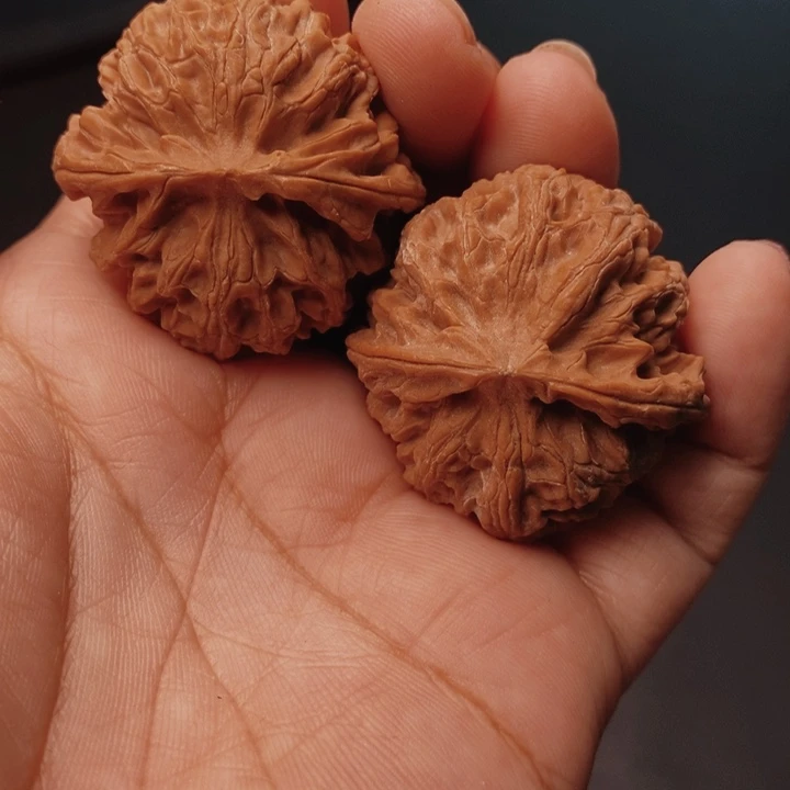 核桃苹果38尺核桃