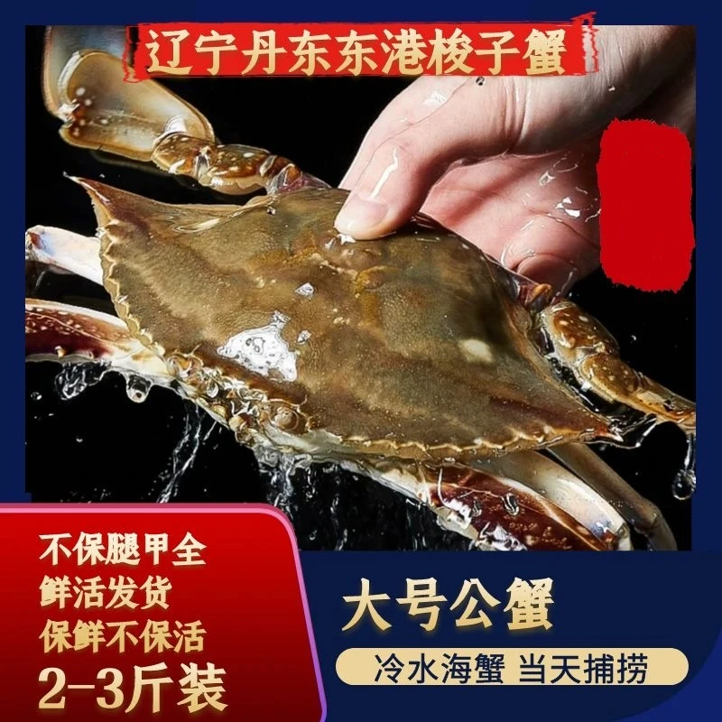 英【保鲜不保活】大号公蟹 三两左右/只 3斤7只左右不保腿甲全。