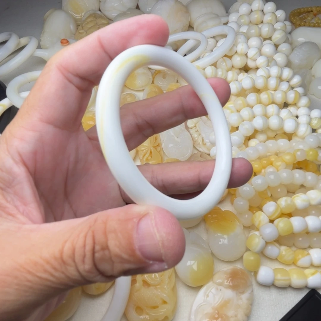 非金属贝壳谁****天然贝壳