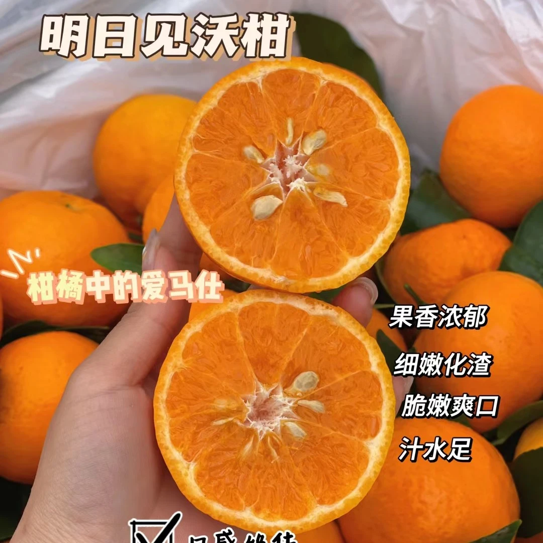 【花熊精品】明日见沃柑  香甜多汁4斤一箱