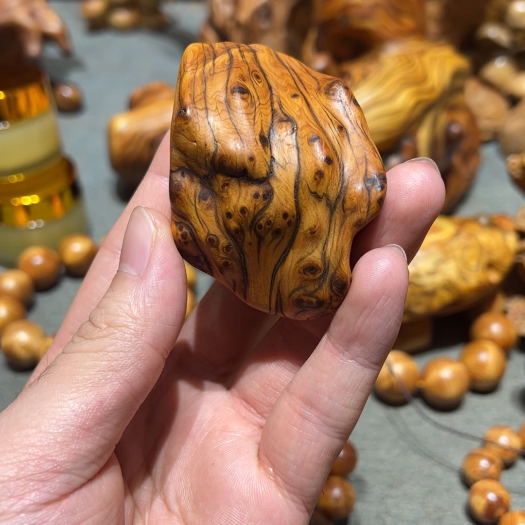 柏木（崖柏）北太行陈化崖柏