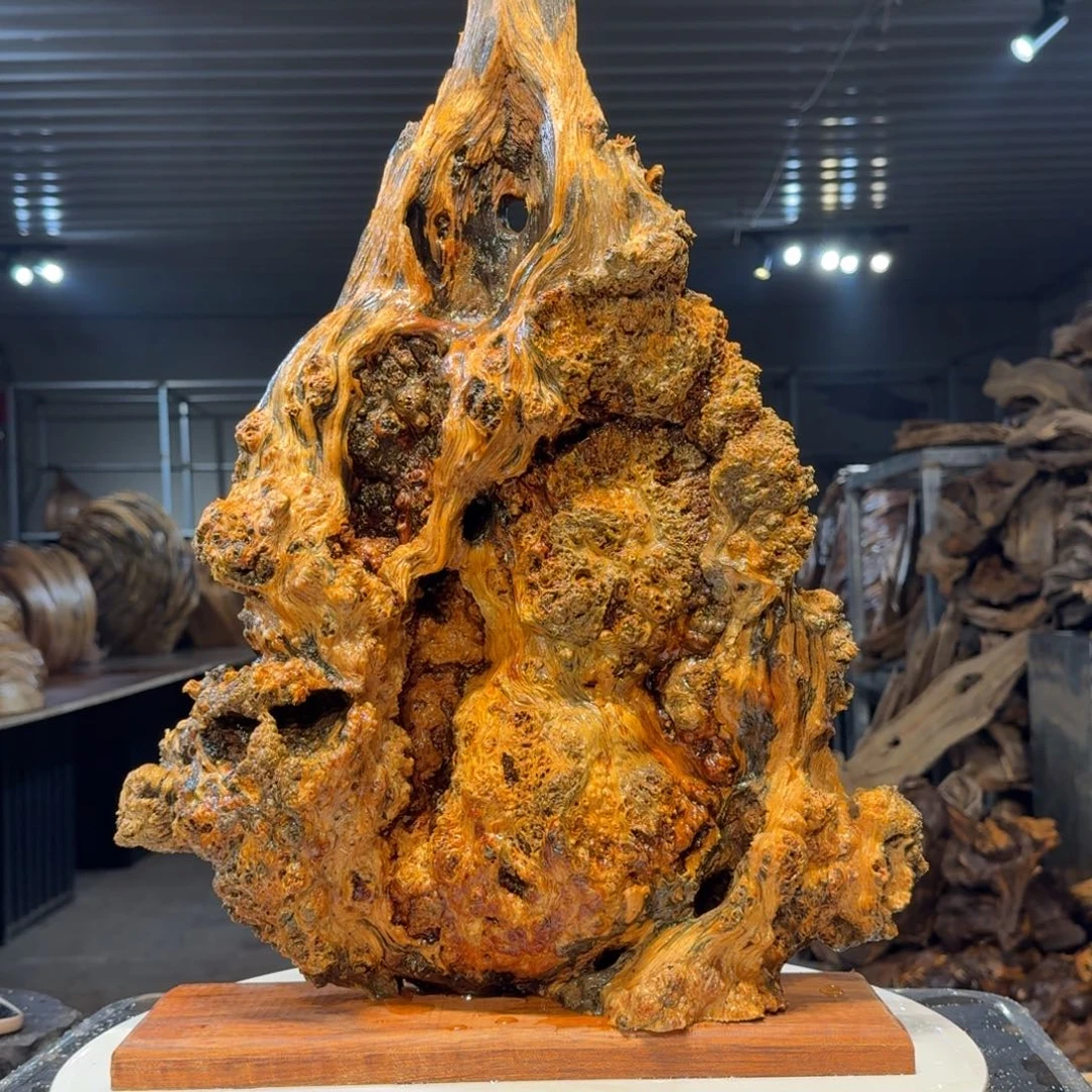 木腾***.王一刀琥珀木59