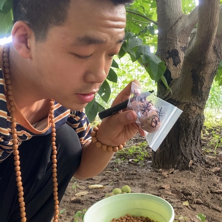 文玩核桃吊坠春**.福利