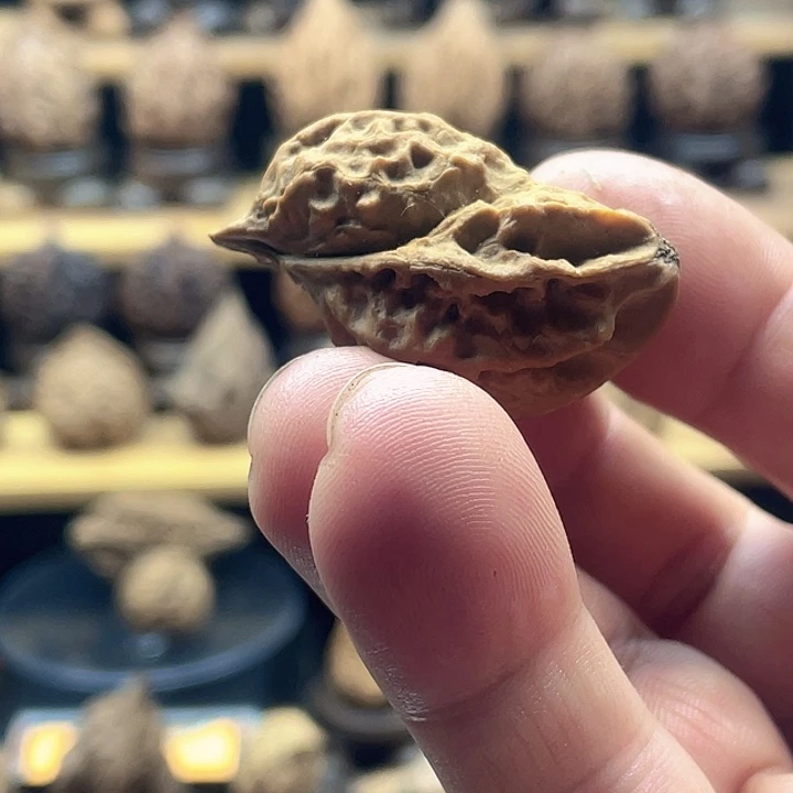 文玩核桃把件东北鸟