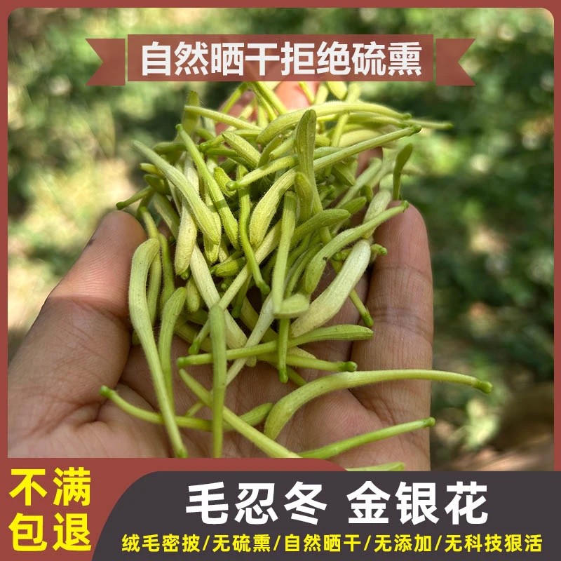 金银花中药材正品泡茶去火干货天然无硫忍冬干花花茶凉茶500克