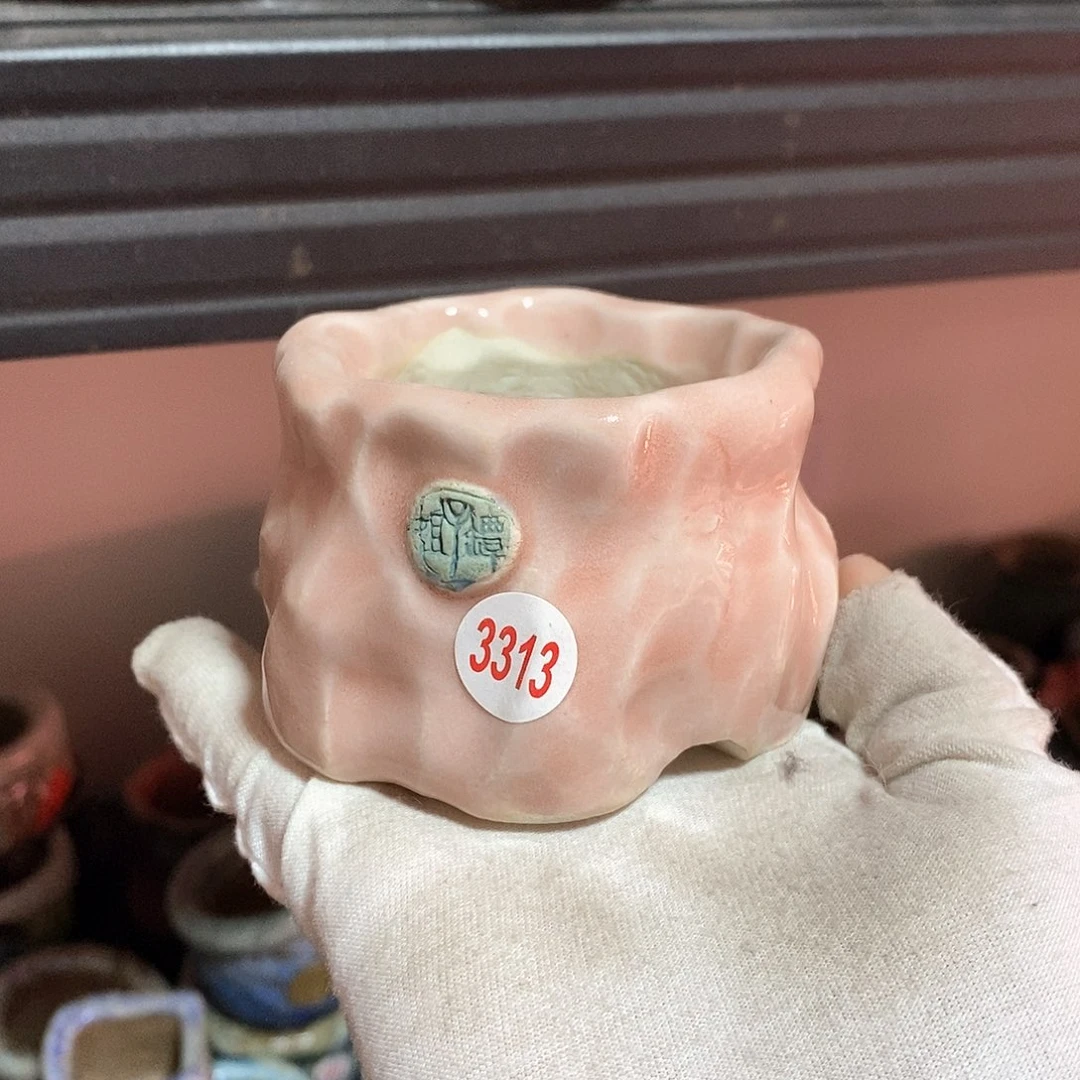 红陶处理的，处理