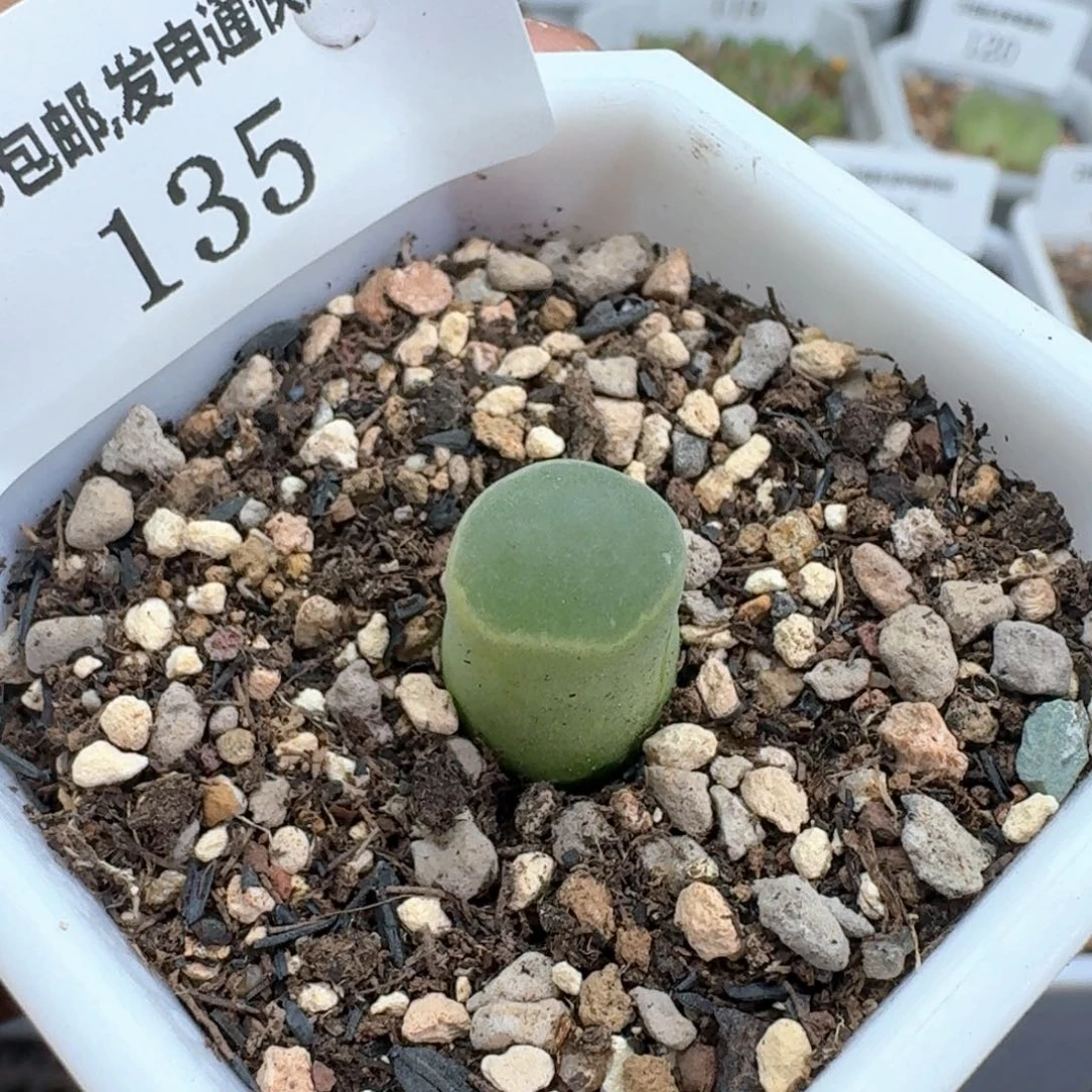 135。