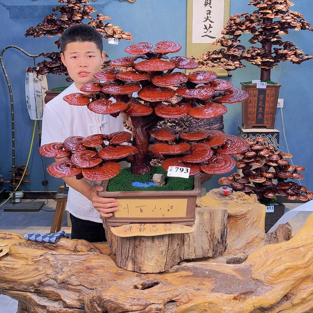 无花朵88888888888888888888