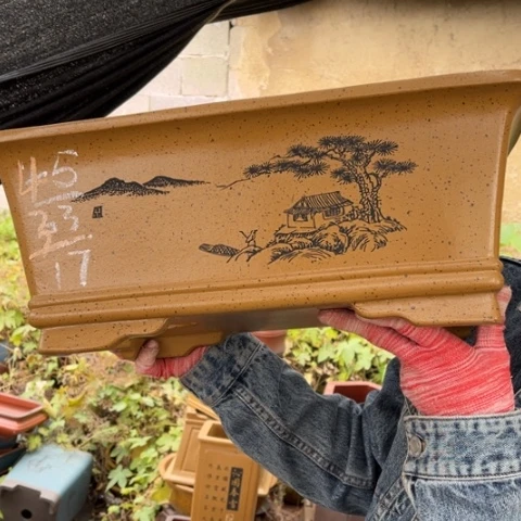 紫砂花盆特价包邮送