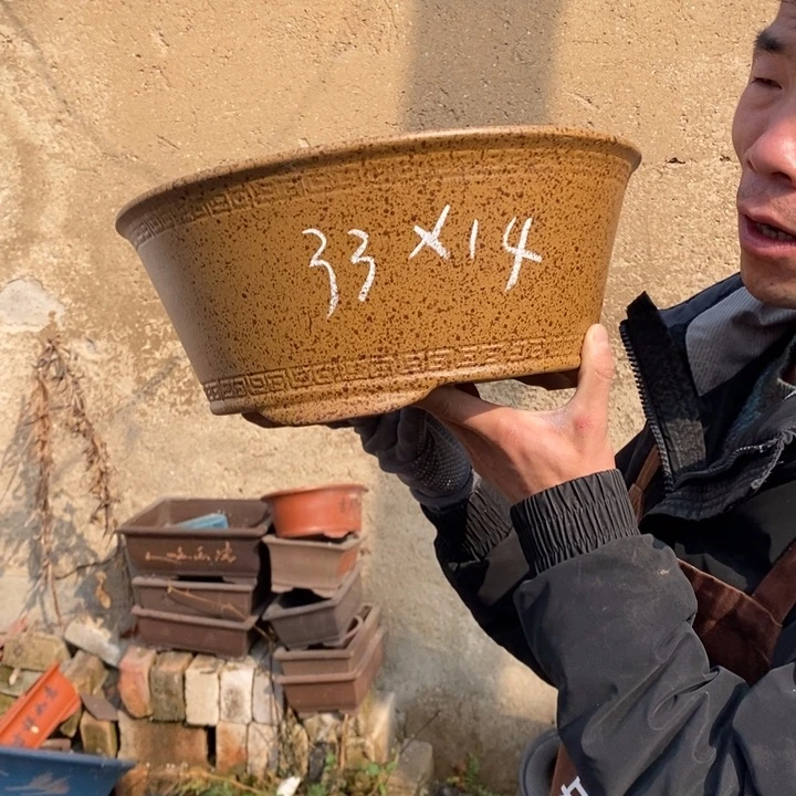 红陶你的生活就是这样一