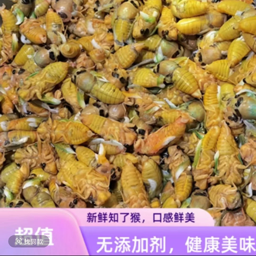 （618特惠）野生大白蝉 嫩知了  2瓶100只冷冻发货顺丰包邮