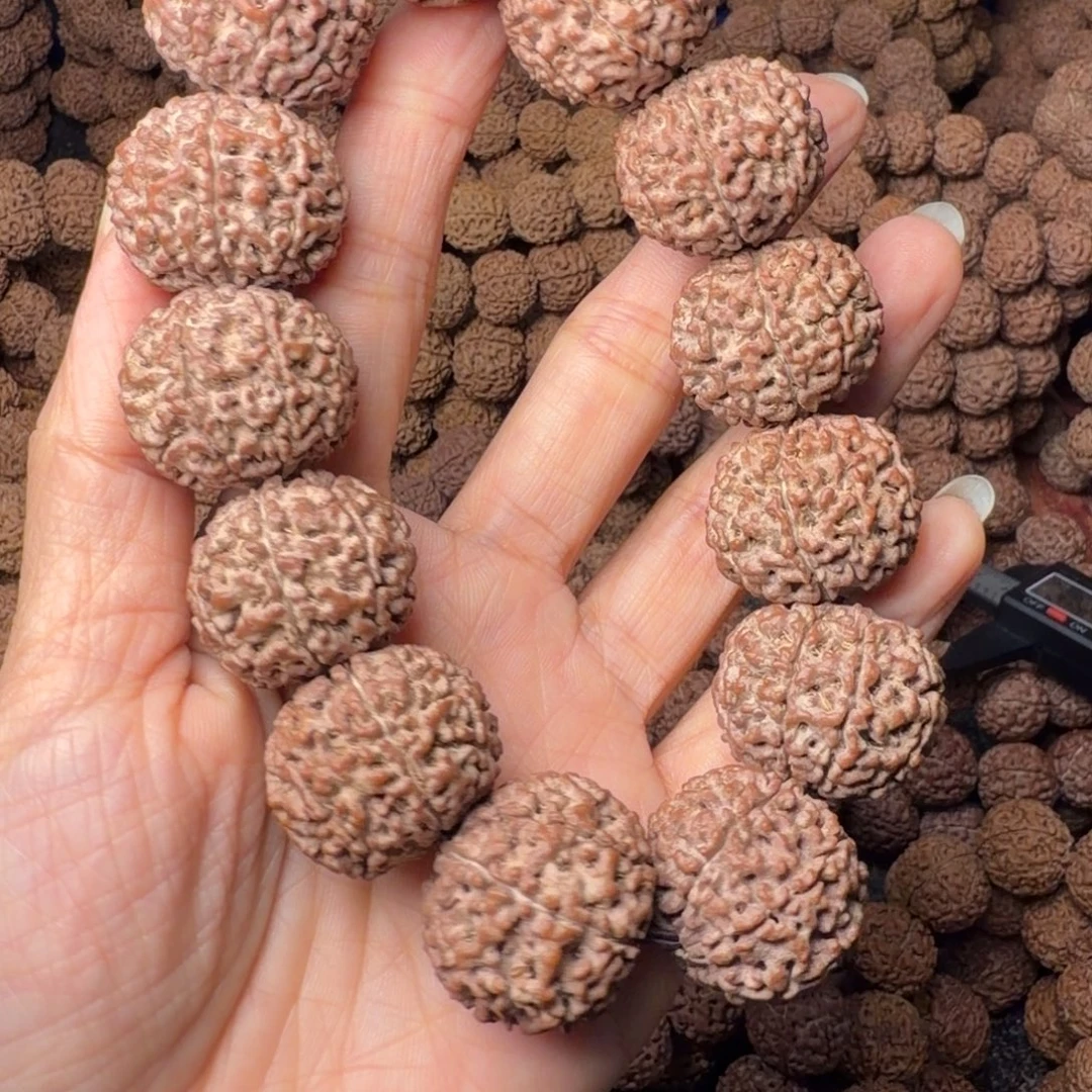 金刚菩提手串8瓣卡25尺，97号