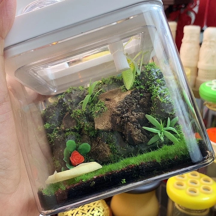 两只非中哈哈哈哈哈哈哈