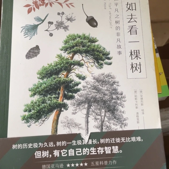 不如去看一颗树正版书籍