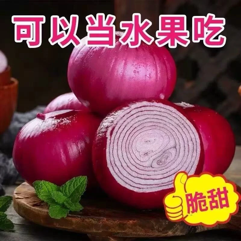 云南紫皮洋葱新鲜蔬菜农家种植微辣脆甜可生吃炒菜凉拌kk