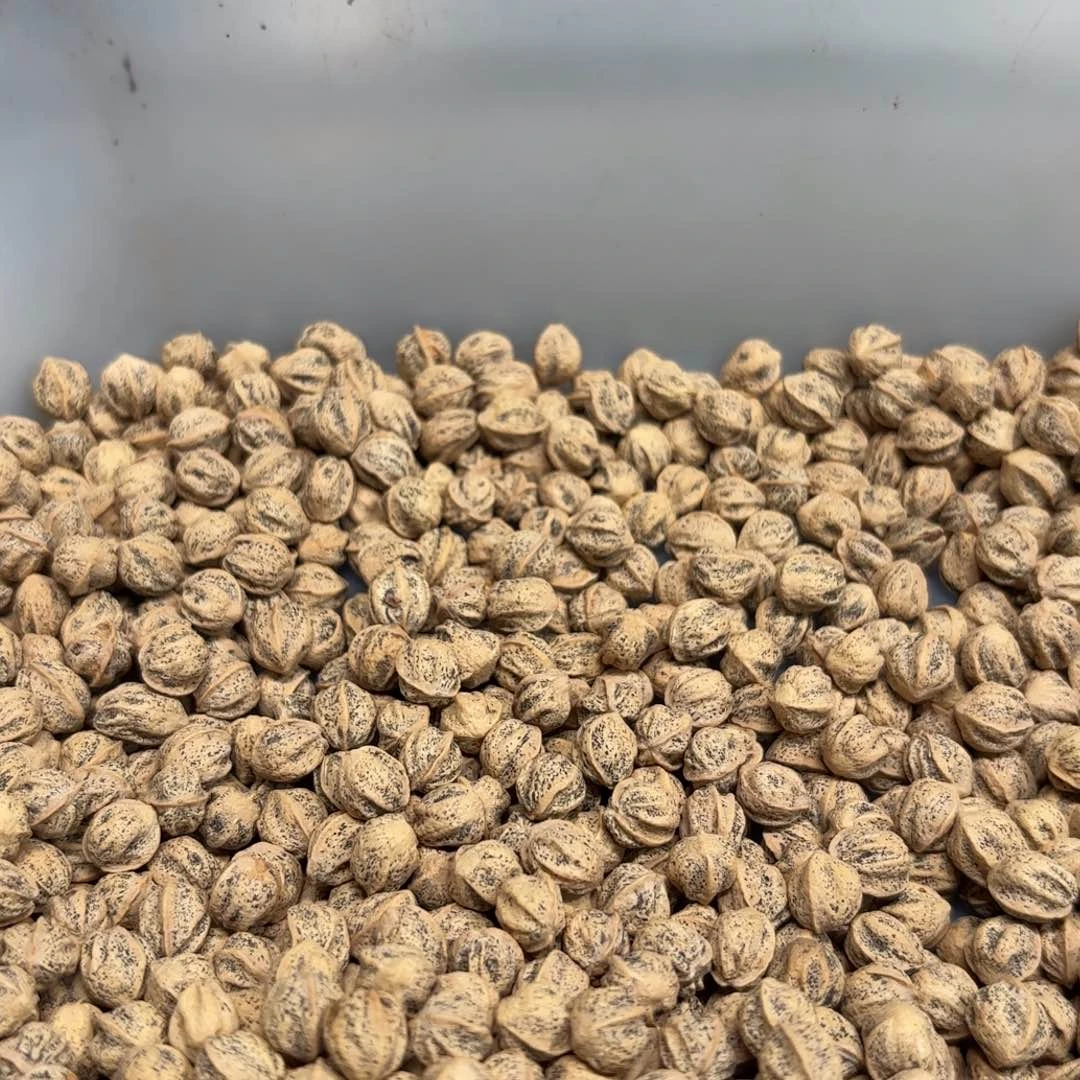 佛***间柏香籽散子 292 克散子