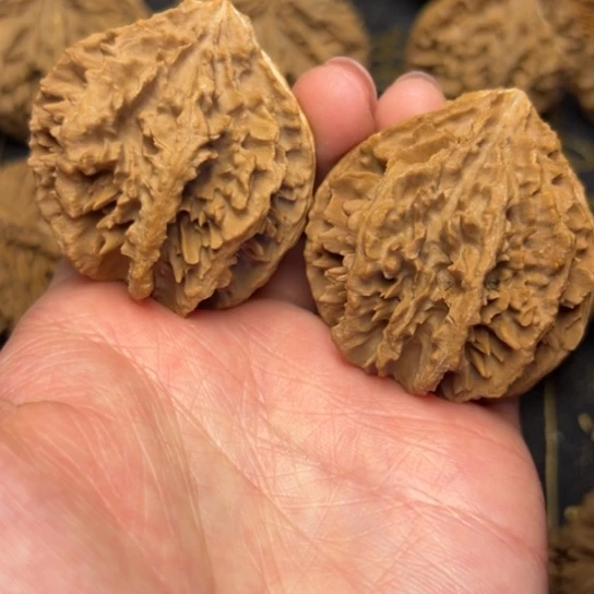 文玩核桃把件秦岭核桃28