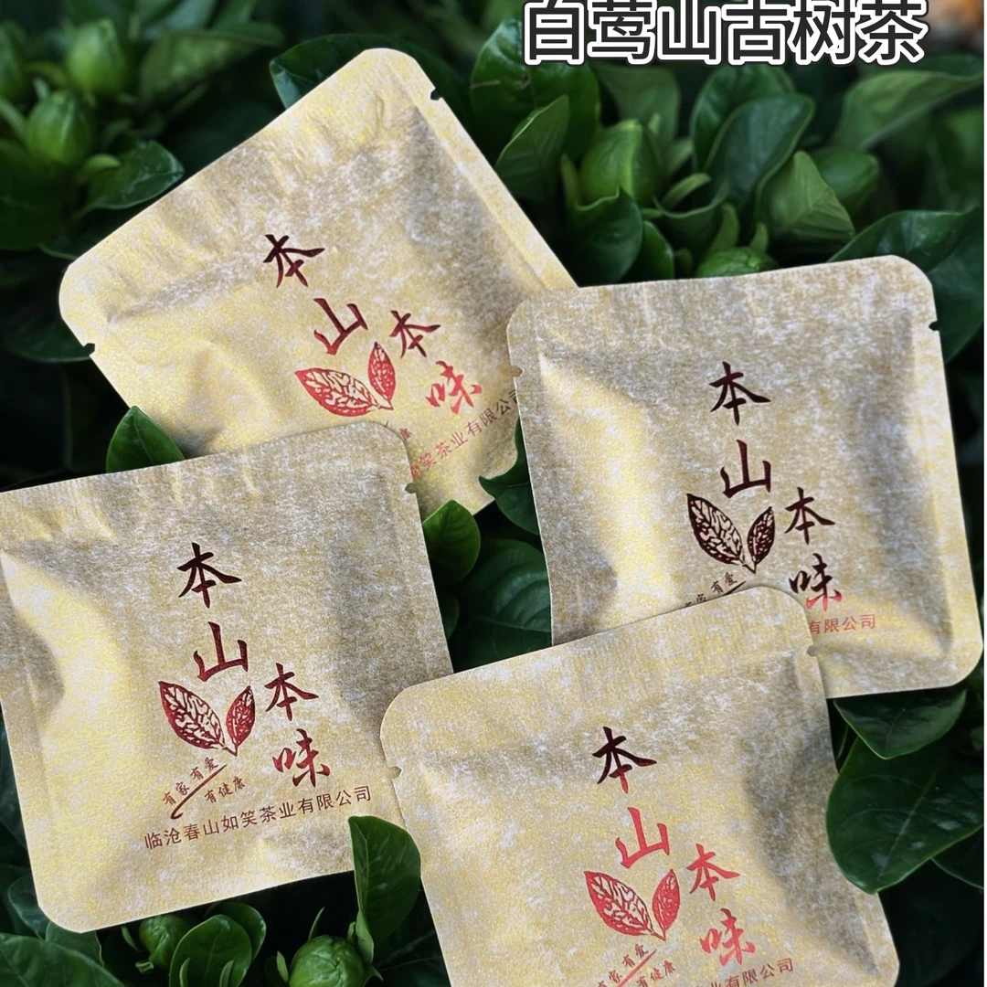 本山本味-2024年春茶-白莺山古树茶-8克*10片