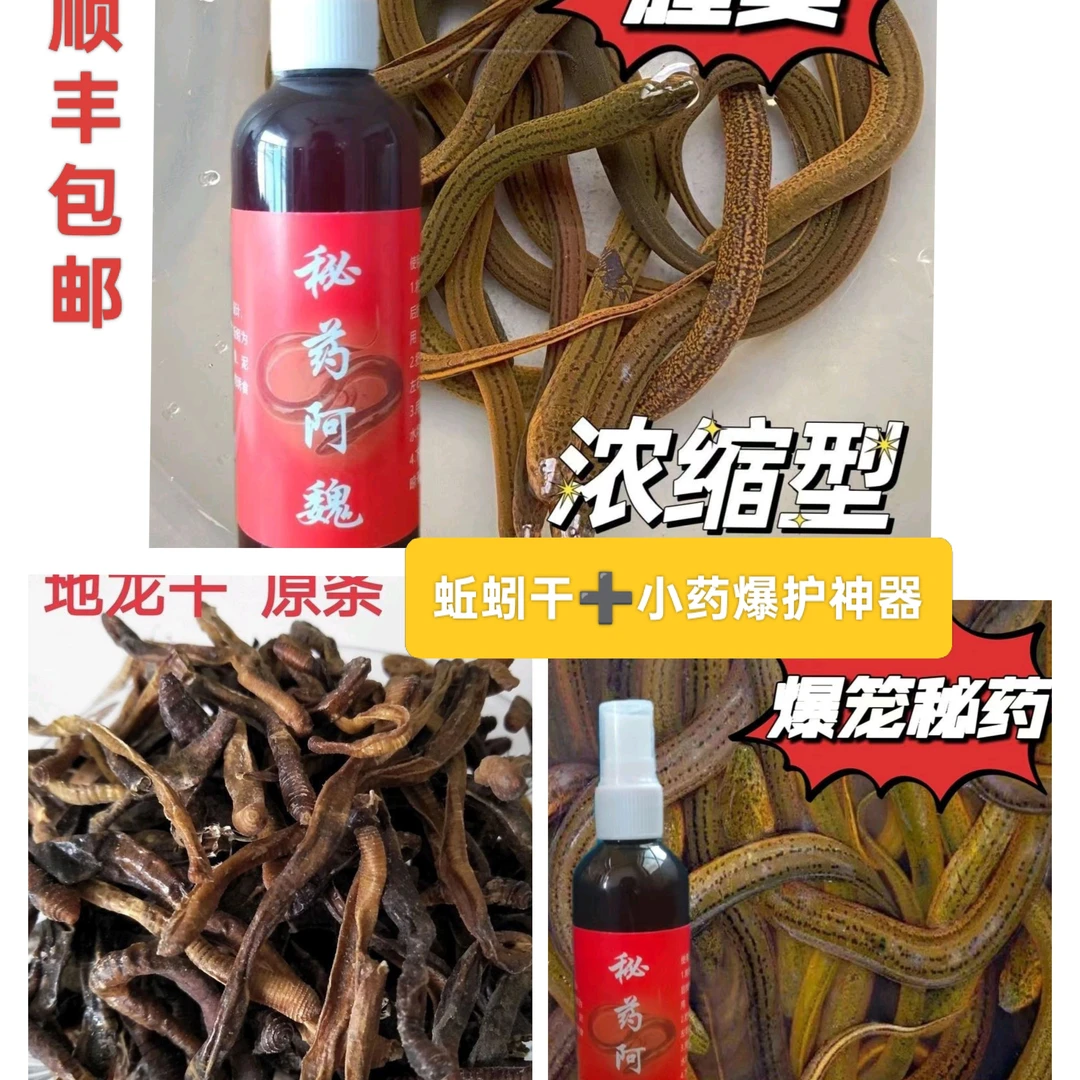 正宗野生干蚯蚓黄鳝专用诱饵未破肚圆条天然晾晒