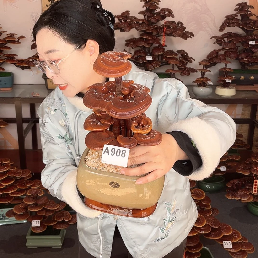 万事如意88888908