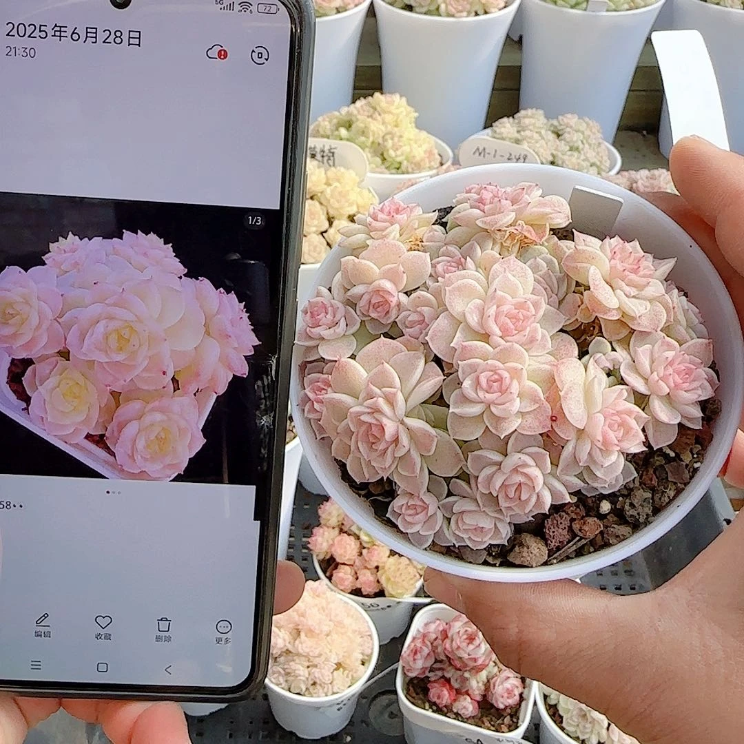 1210-67（ht-58）优选