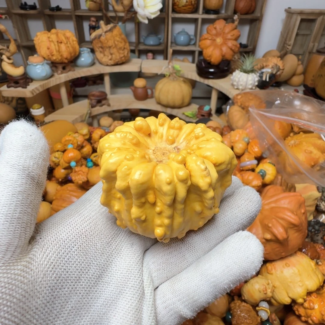 安*特价葫芦不退不换