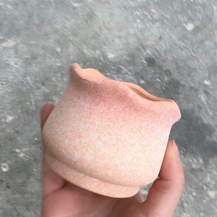 陶没有烦恼专属盆盆