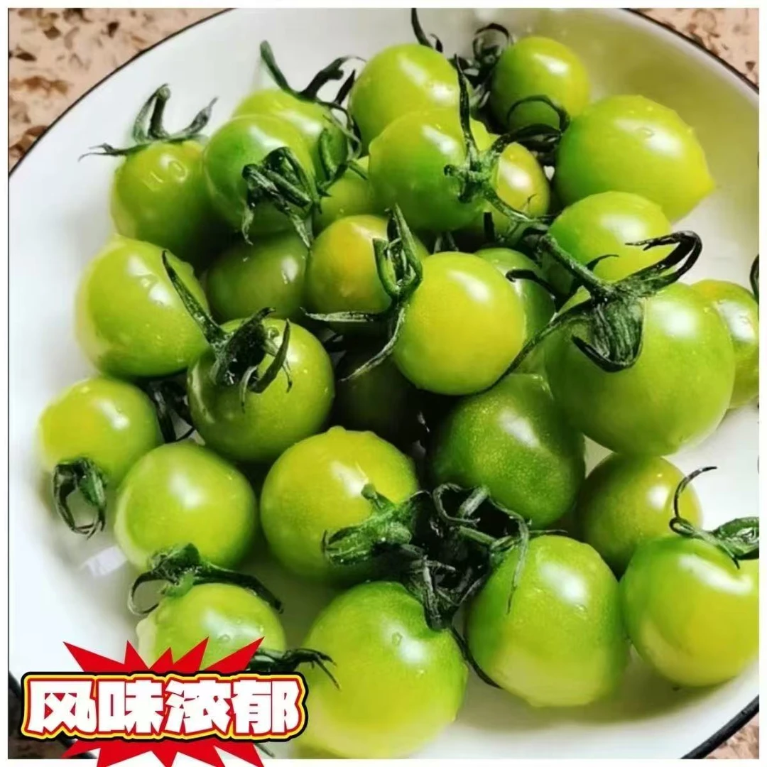 当天采摘青田2号绿色小番茄