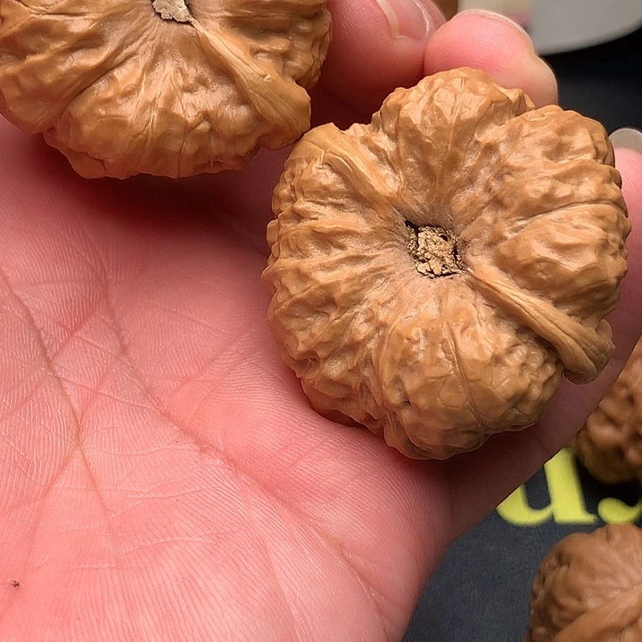 屹***海吊坠文玩核桃大吃