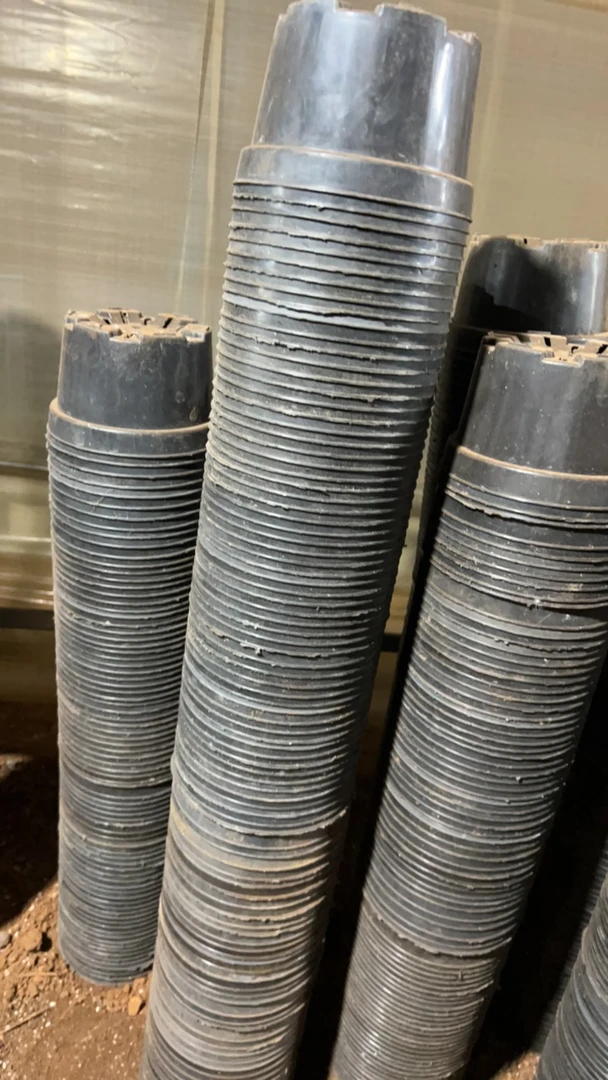 塑料旧花盆，黑矮胖盆17口径8高 20个