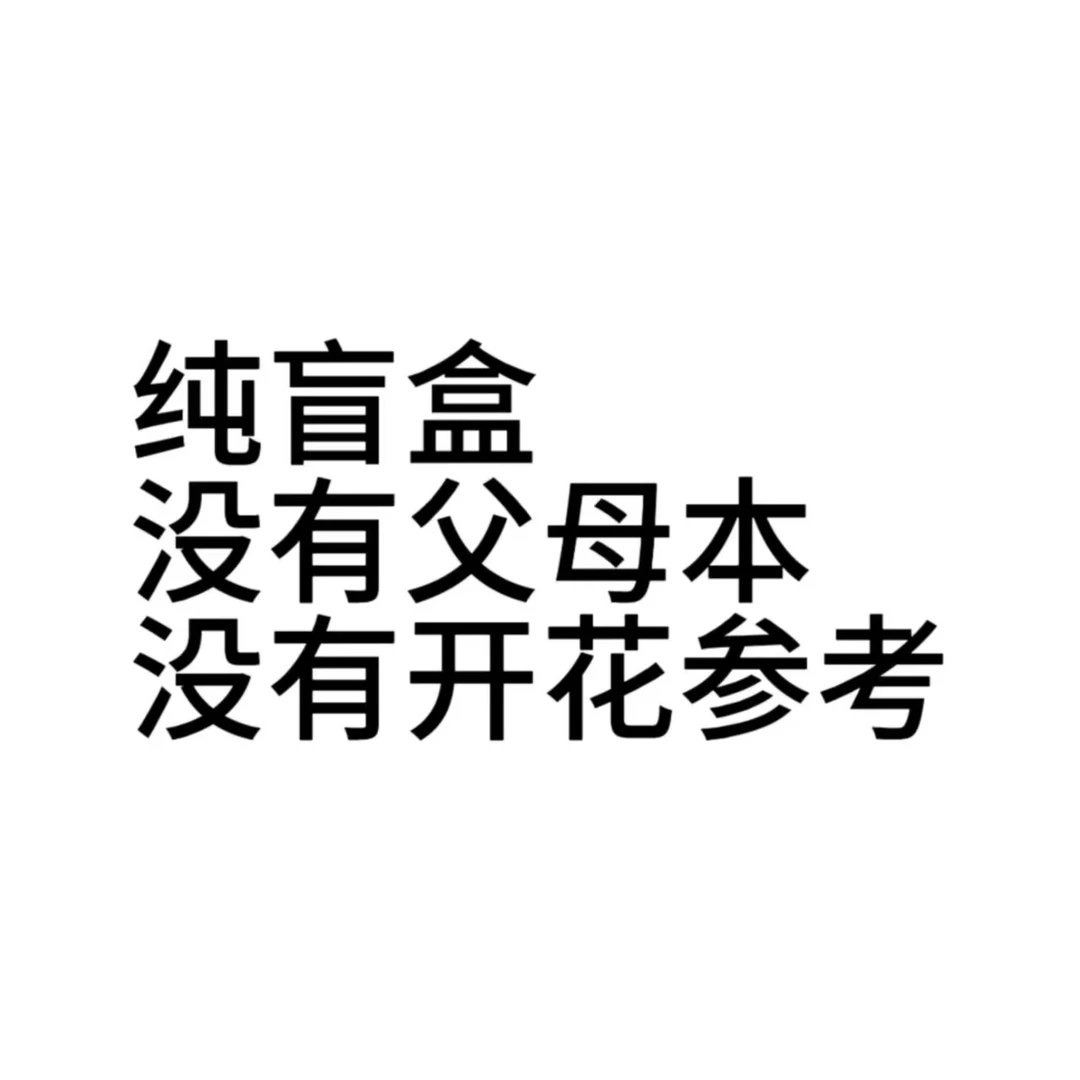 1.7寸 D722-苗 无根叶瑕 原生趣味兰