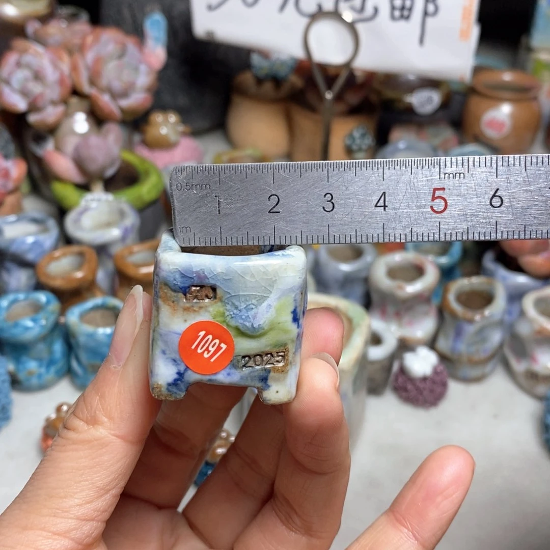 拍3送一个小礼物