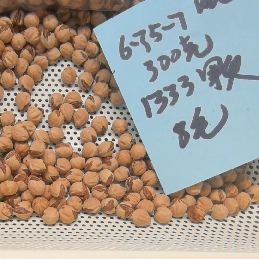 国***爸柏香籽/百香籽手串