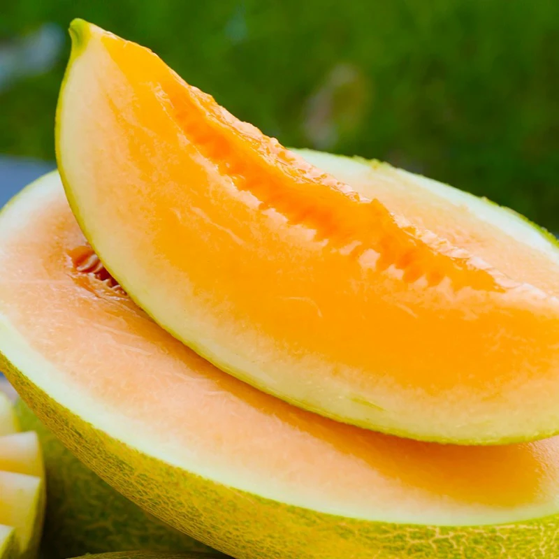 新疆西州蜜 甜瓜 哈密瓜1000g左右/份盒装 水果同城送新疆维吾尔自治区