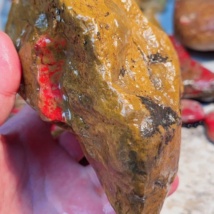 昌化鸡血石昌化田黄鸡血