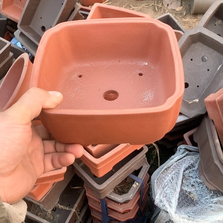 紫砂哈哈真的是太给力太火爆了