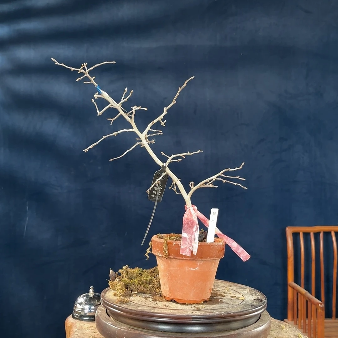 用***6未知哈哈哈哈哈哈哈哈哈